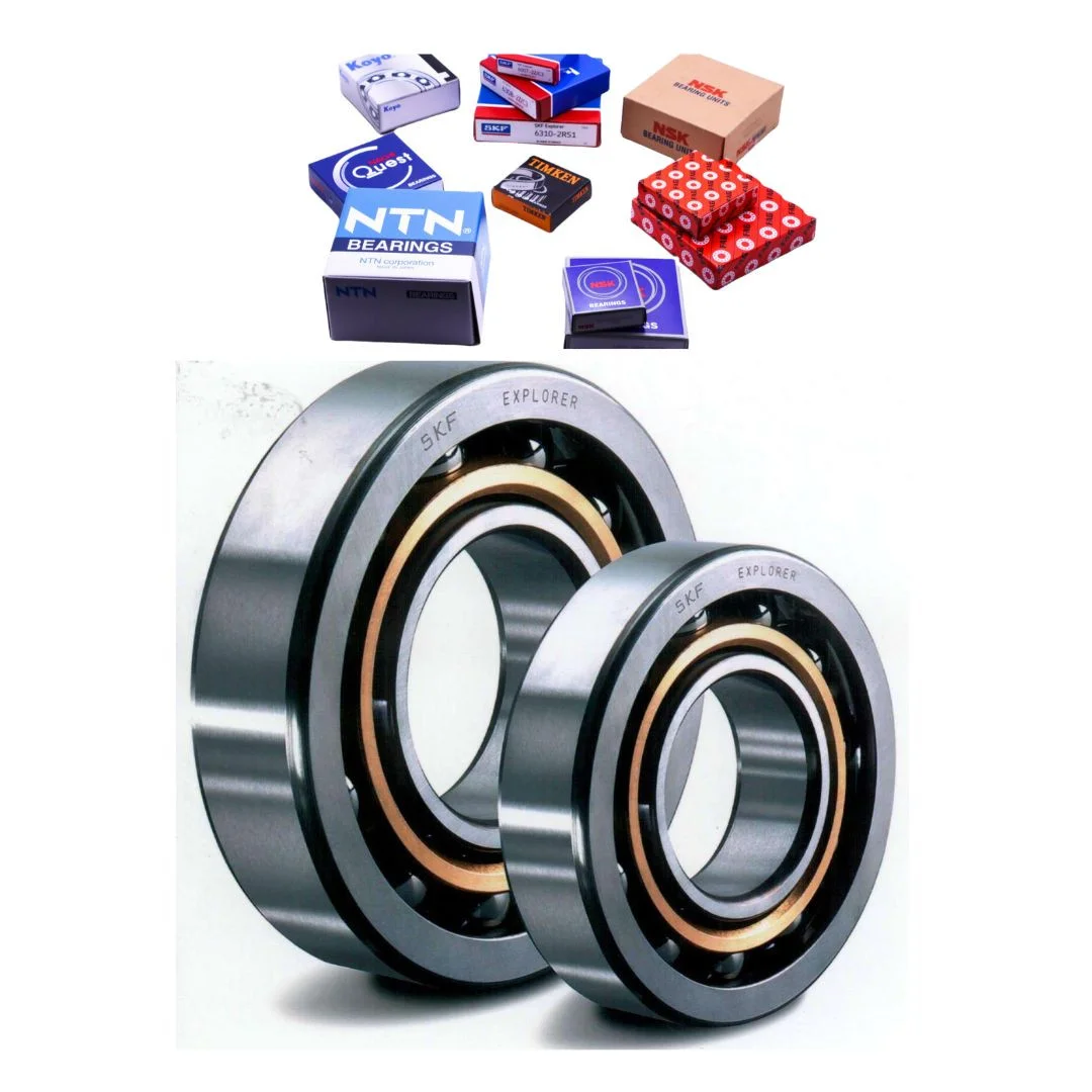 Couplings & Power Transmission