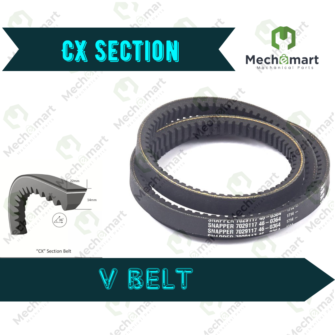 CX Section V Belt