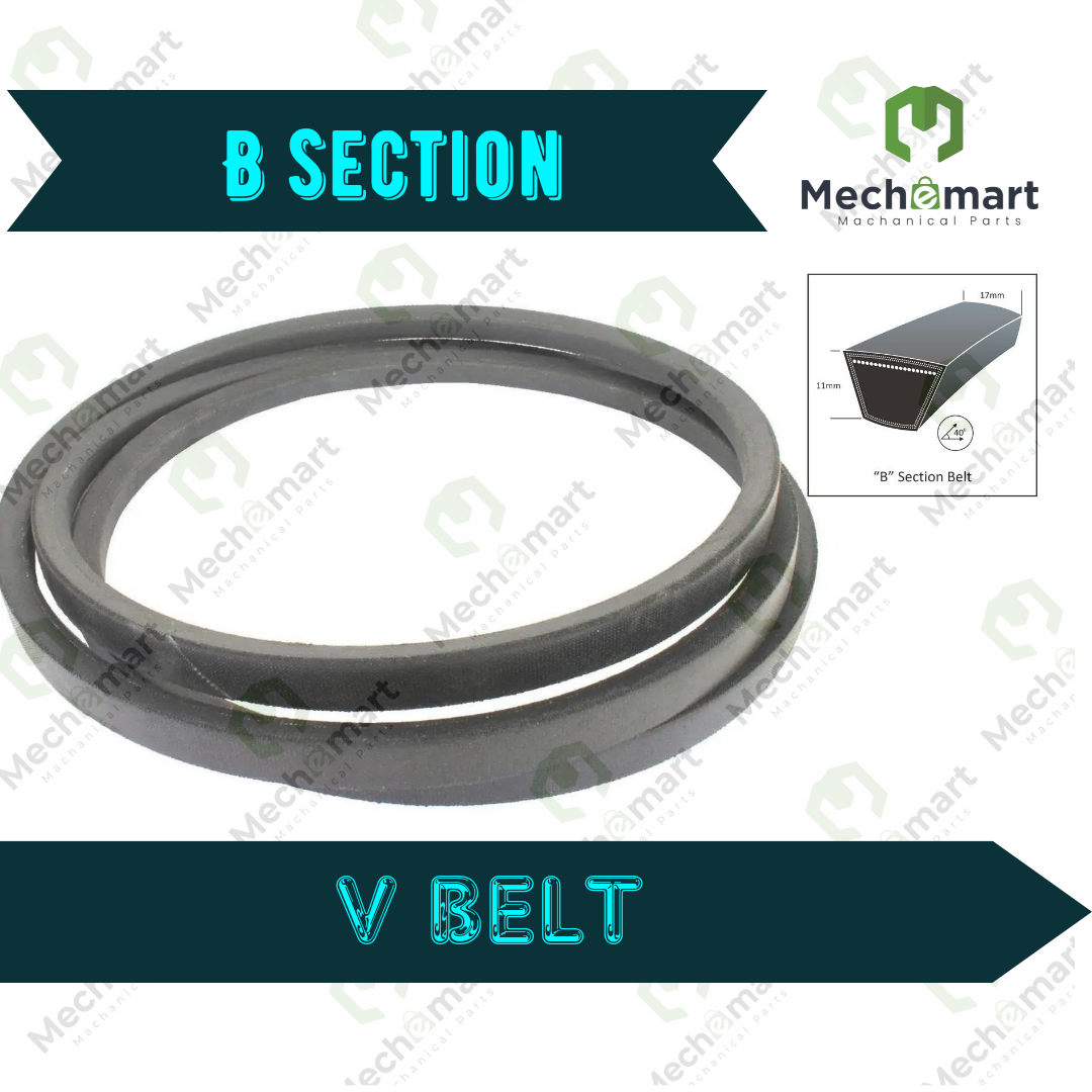 B Section V Belt