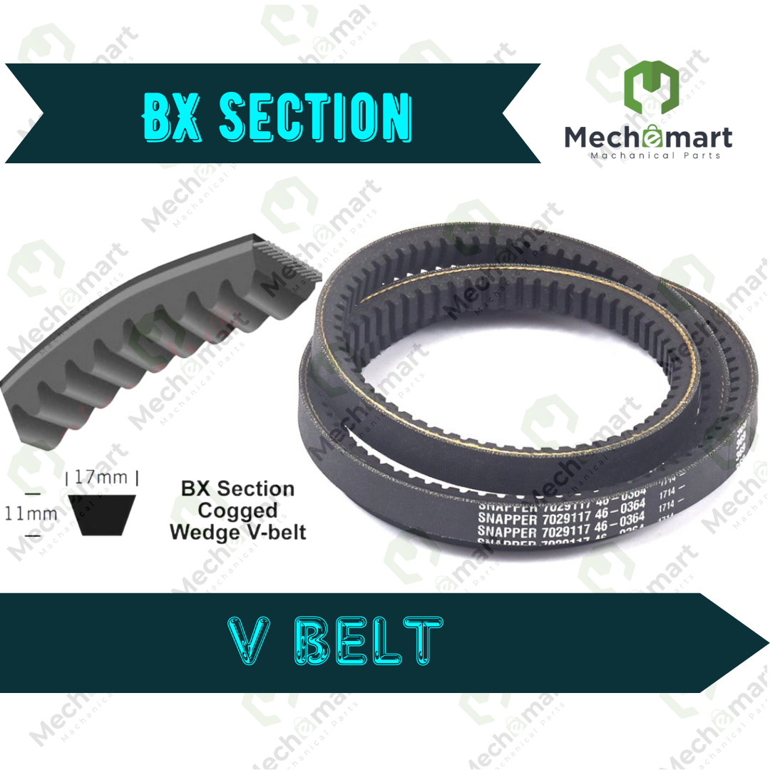 BX Section V Belt
